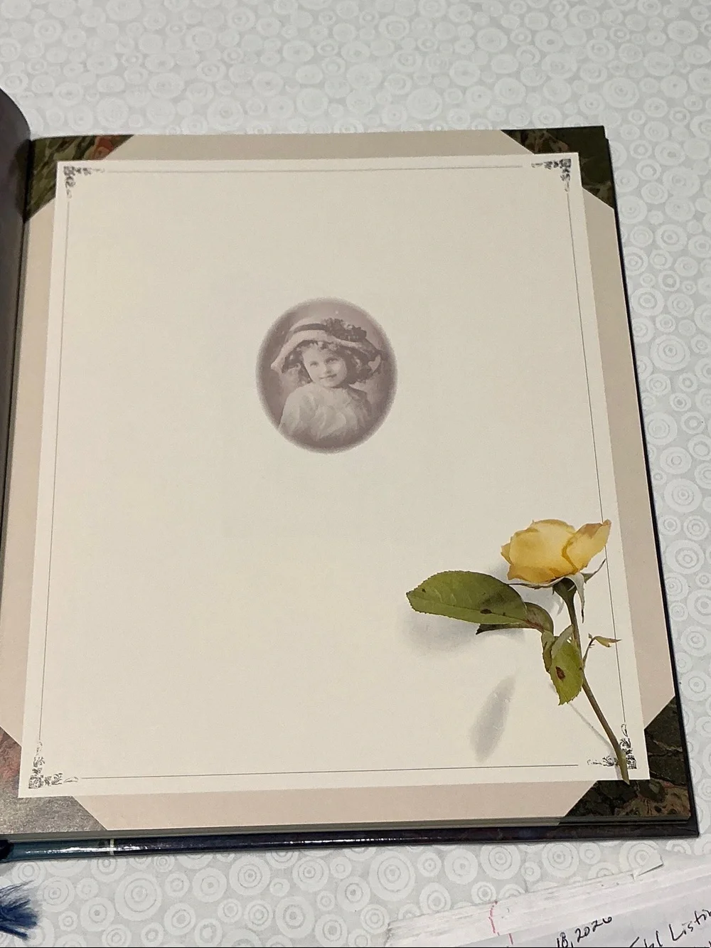 Our Family Album  Book A Treasury of Family Memories Vintage 1993